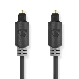 NEDIS Connectique Audio Co CABW25000AT20